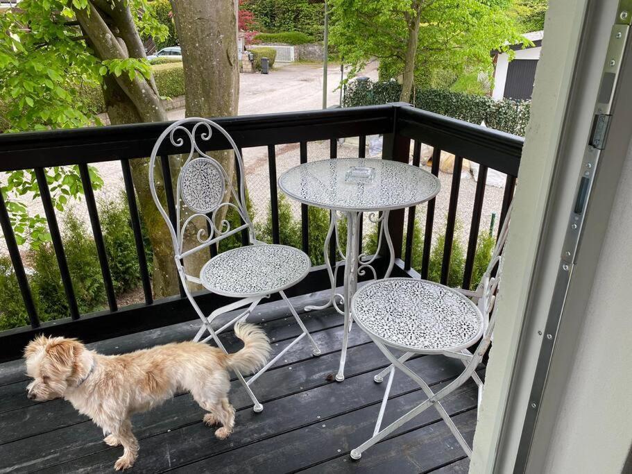 Ferienwohnung Thalia Berg am Starnberger See Exteriér fotografie